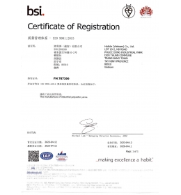 ISO 9001证书-越南